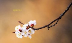 在這春暖花開的季節(jié)，歡迎你們加入知道網(wǎng)絡(luò)