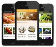 手機(jī)網(wǎng)站怎樣做才更有效果？如何做優(yōu)化？
