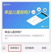 騰訊信用分全國公測，查了一下之后懵逼了。。