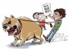 青島10月份一大波勁爆消息，你知道嗎？