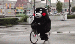 青島也有“共享單車(chē)”啦！說(shuō)騎就騎的旅程GO